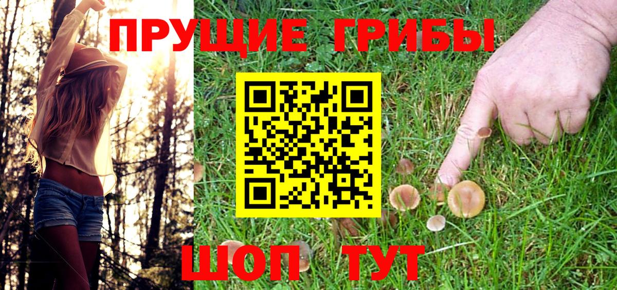 Псилоцибиновые грибы GOLDEN TEACHER  наркошоп  Гусь-Хрустальный  Вход с VPN 